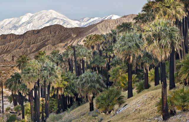 Top 10 Tourist Attractions in Palm Springs, California