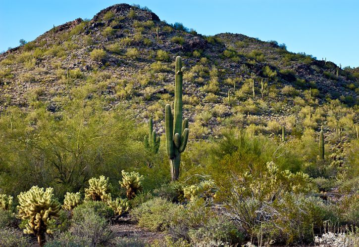 Top 10 Scottsdale Attractions You Can't Afford to Miss