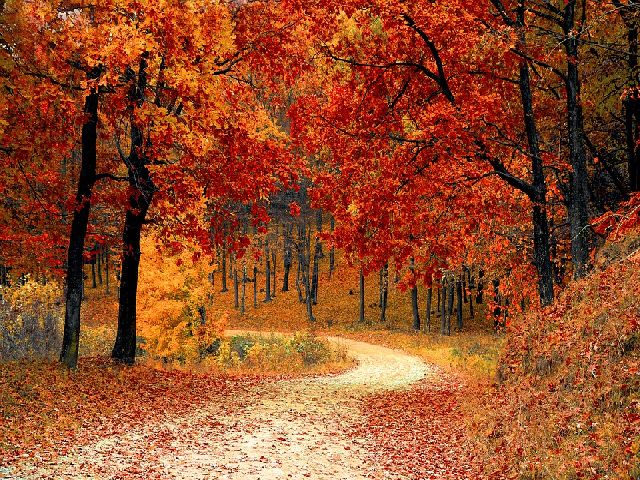 21 Best Places to See Fall Colors in the USA
