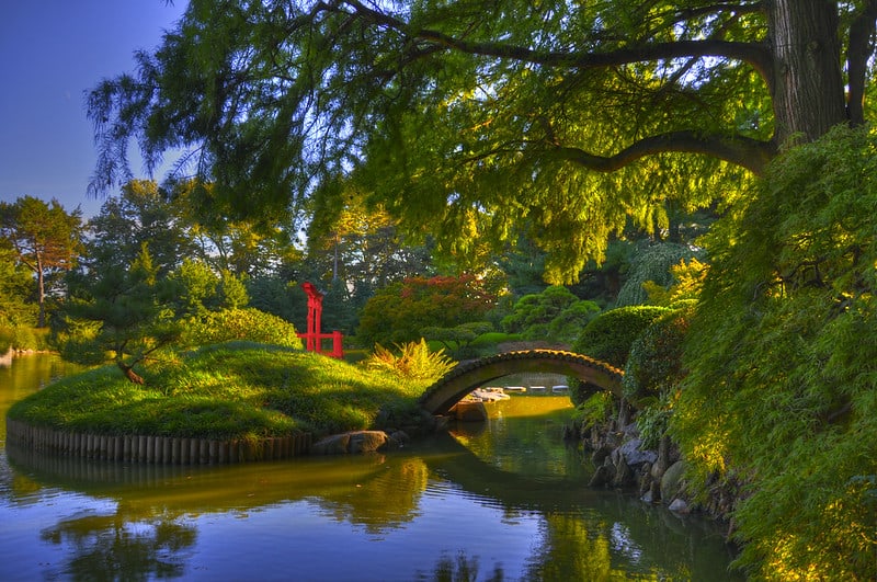 10 Best Botanical Gardens in the US