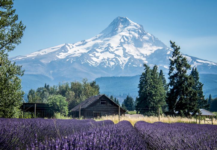 10 Most Beautiful Small Towns in Oregon You Must Visit