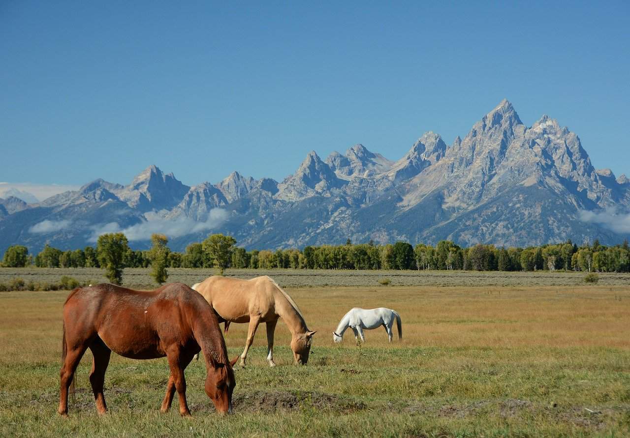 The Most Amazing Things To Do in Teton Valley