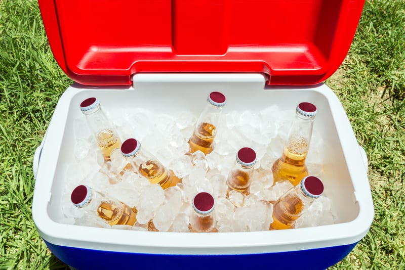 10 Best Camping Coolers in 2024