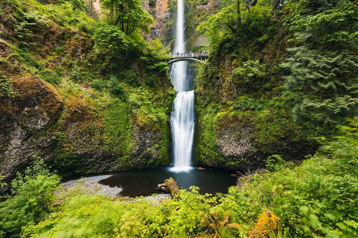 10 Most Beautiful Waterfalls in Oregon That Take You Closer To Nature