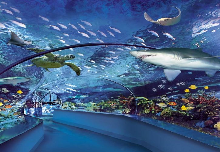 Top 10 Tourist Attractions in Myrtle Beach, South Carolina Things To