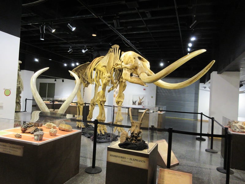 See the Exhibits at the Lafayette Science Museum