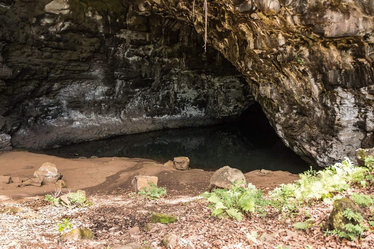 Explore the North Shore's Caves