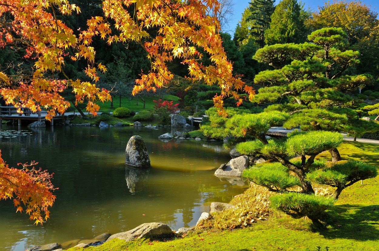 Seattle Japanese Garden