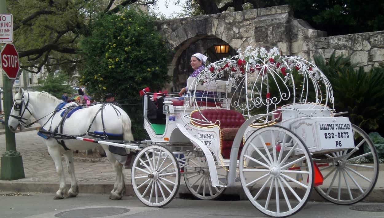 Lollypop Carriage Co.