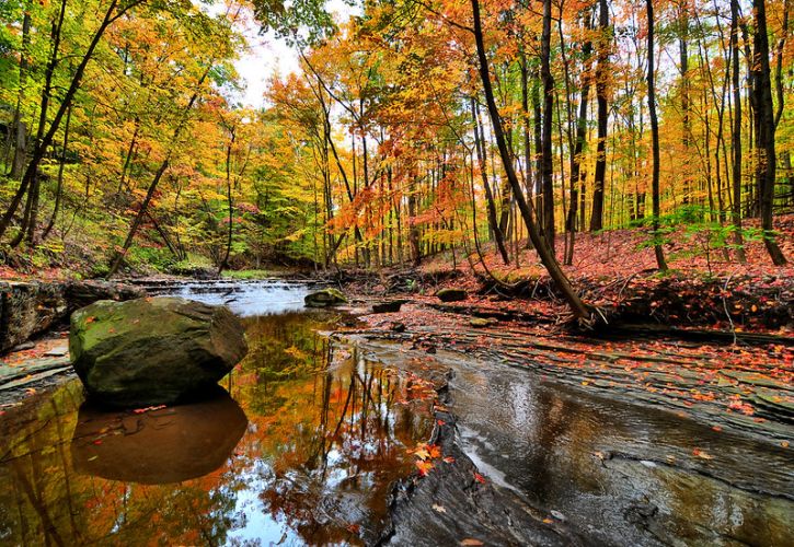 10 Best National Parks to See Fall Foliage in the US ...