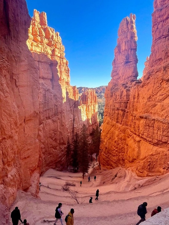 Hike The Navajo to Queens Canyon Loop