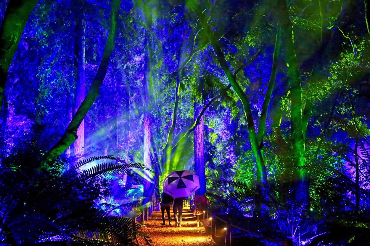 Enchanted Forest of Light at Descanso Gardens - Flintridge, CA