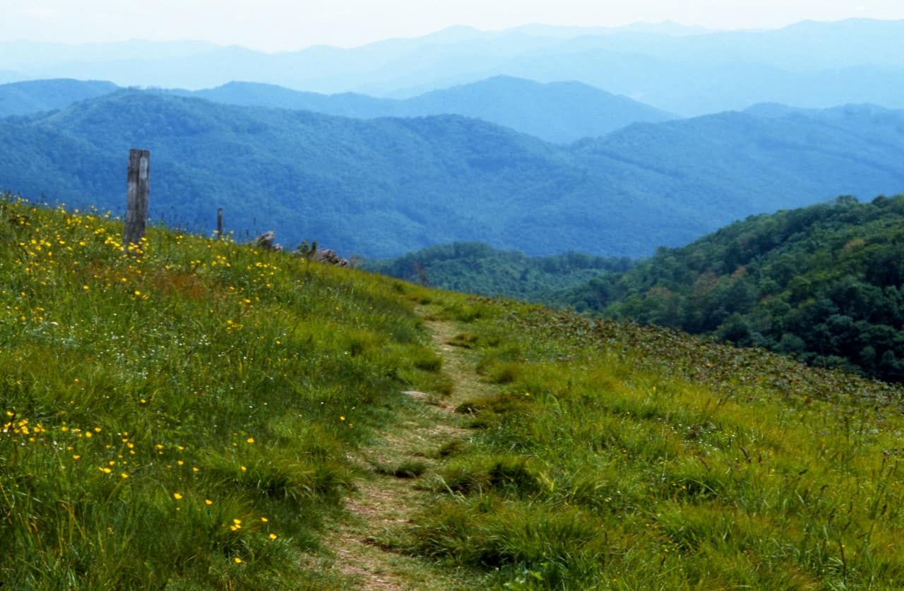 Max Patch Trail