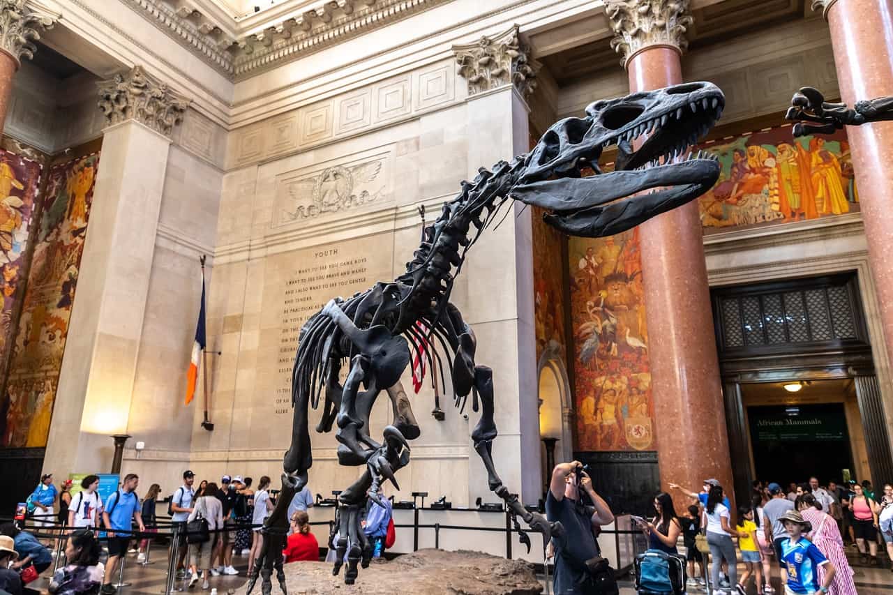 American Museum of Natural History, New York City, New York