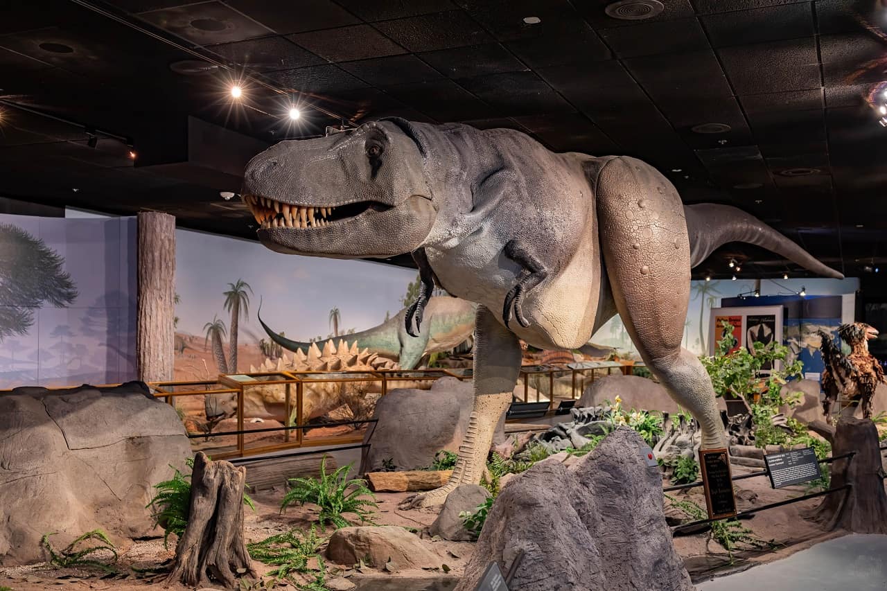 Las Vegas Natural History Museum, Las Vegas, Nevada