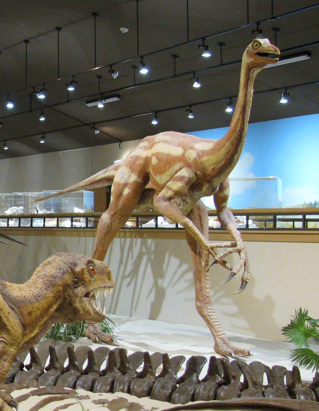 Badlands Dinosaur Museum, Dickinson, North Dakota
