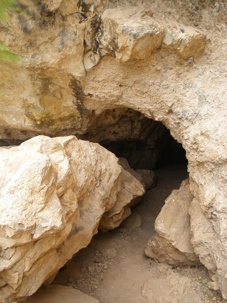 Peppersauce Cave, Oracle