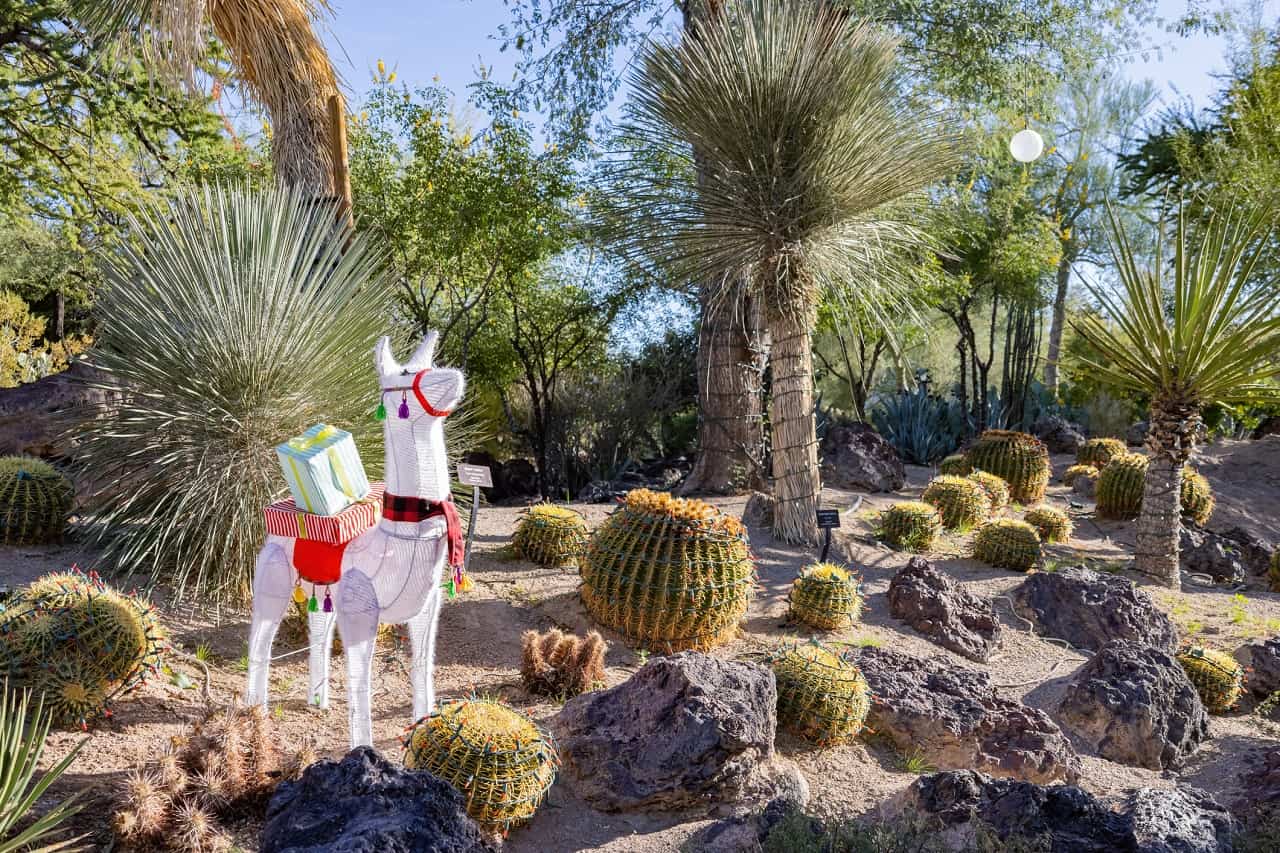 Las Vegas Botanical Cactus Garden Show