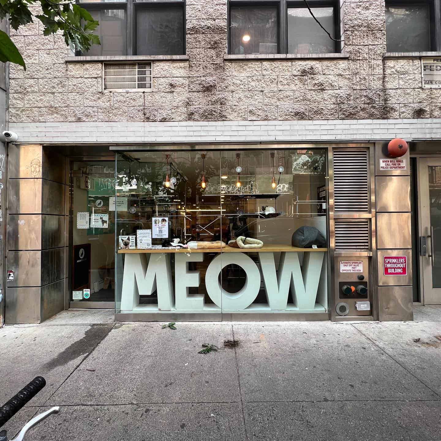 Meow Parlour Cat Cafe