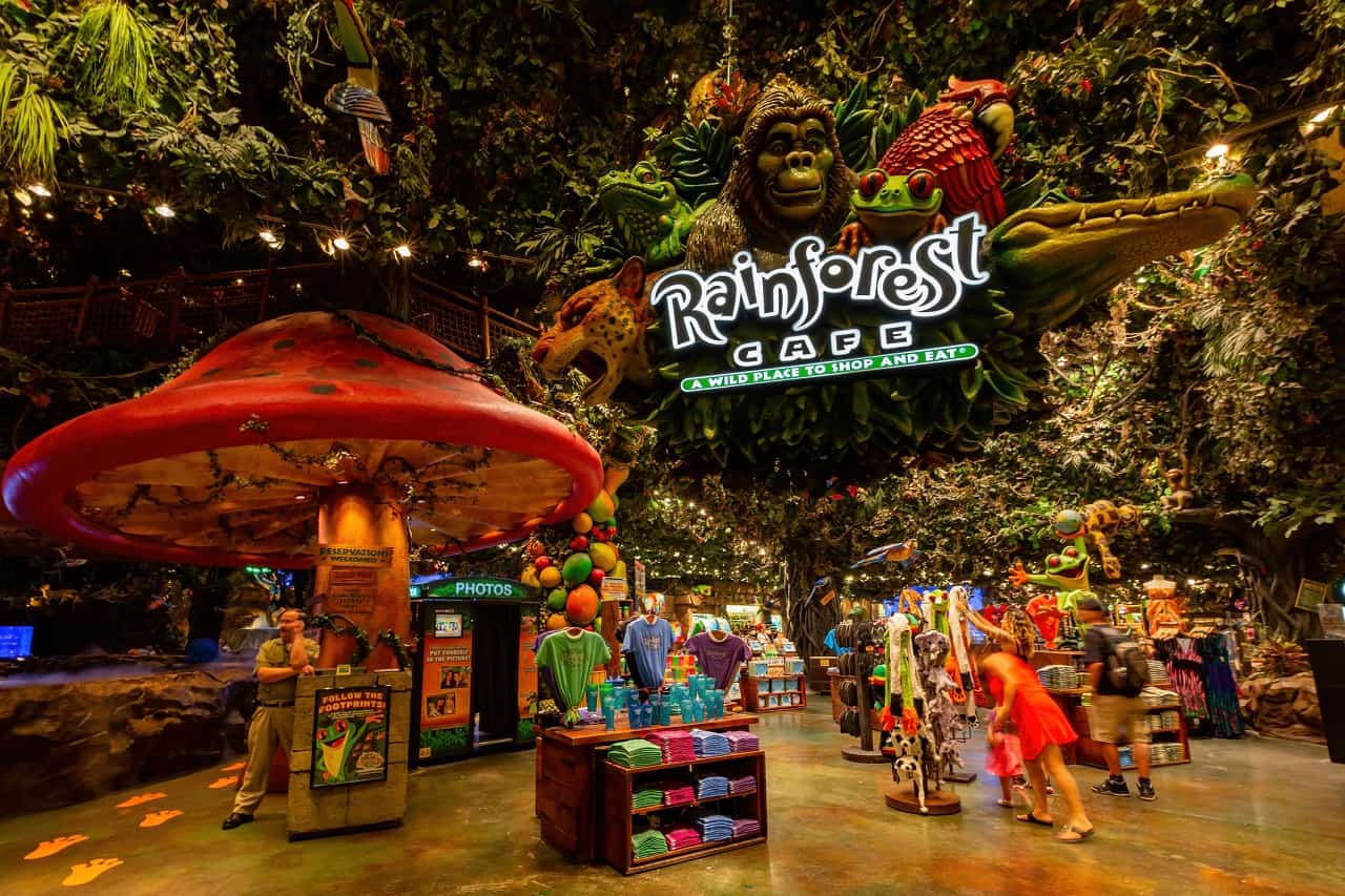Wild New Year's Eve Party - Rainforest Cafe Las Vegas