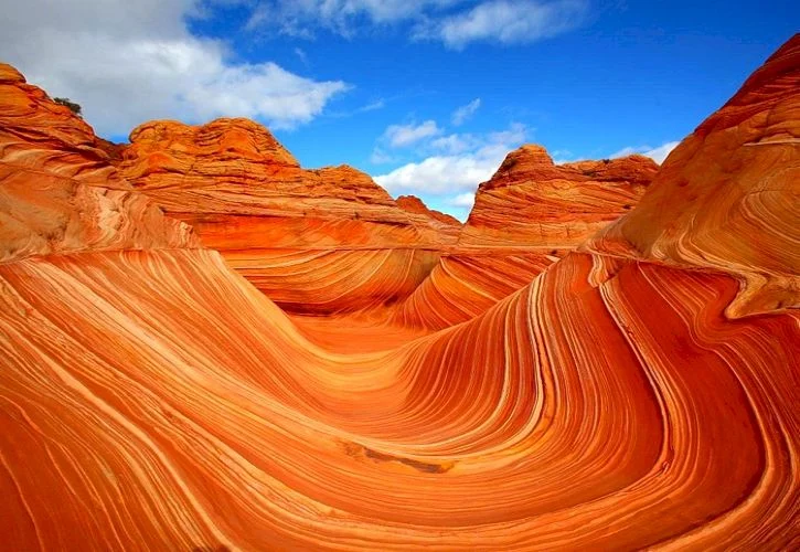 The Wave (Arizona)