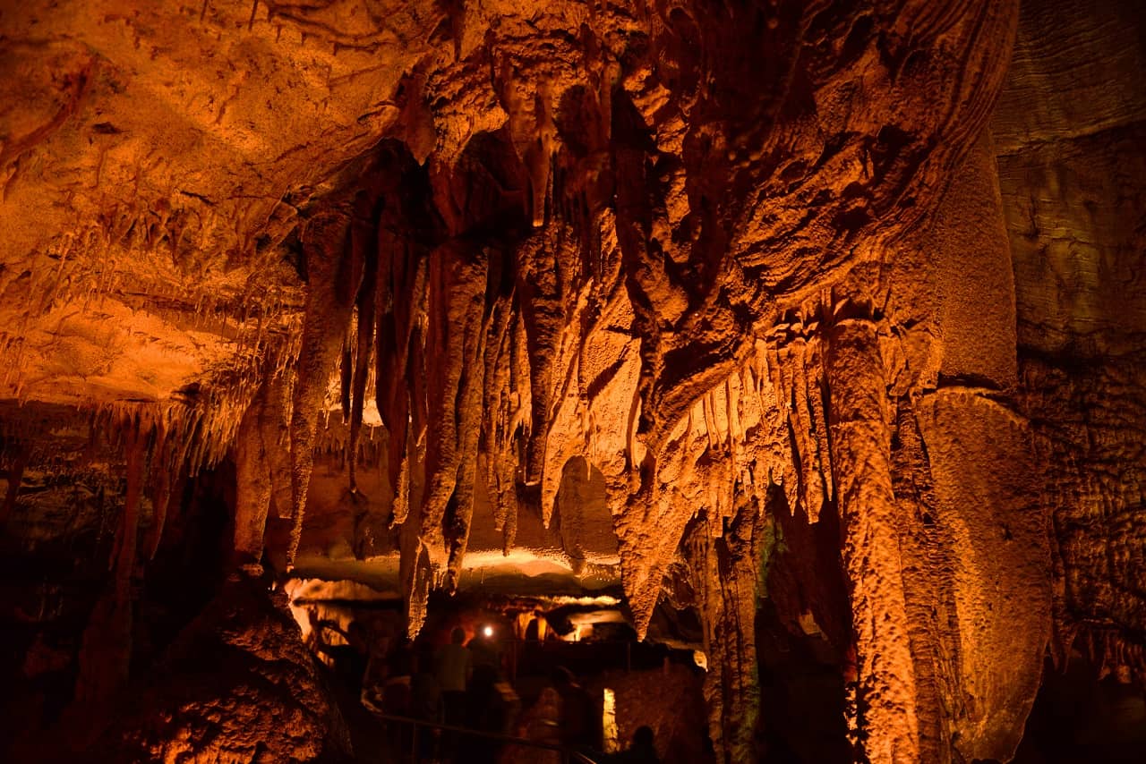 Mammoth Cave (Kentucky)