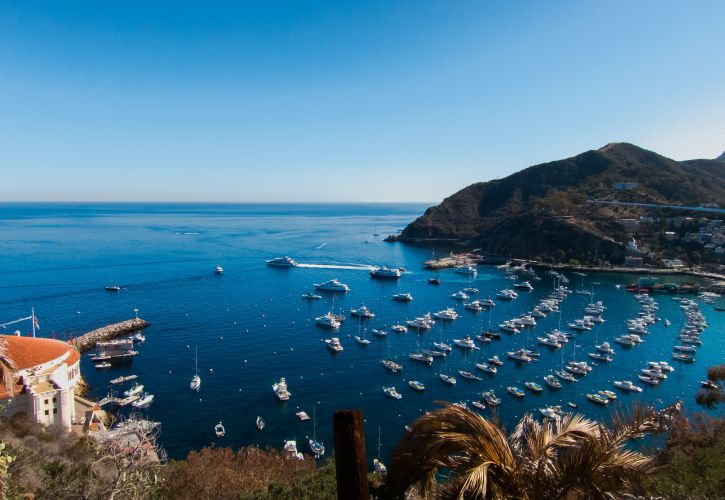 Santa Catalina Island, Top 20 Attractions California in 2023
