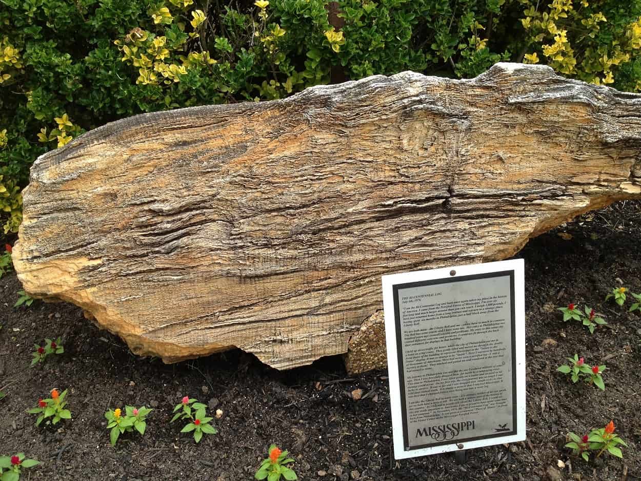 Mississippi Petrified Forest