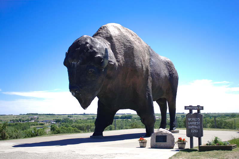 National Buffalo Museum