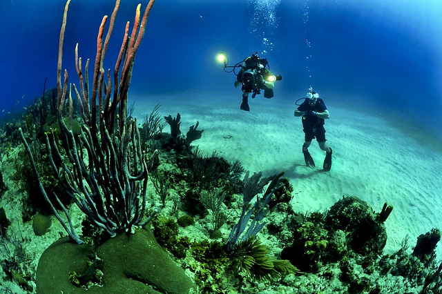 Top 10 Scuba Diving Sites in the USA