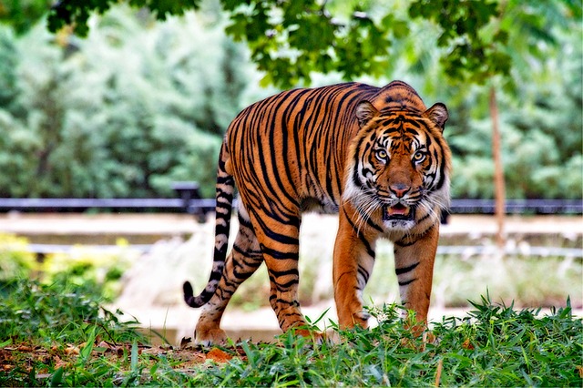 30 Best Zoos in the US to Visit in 2023