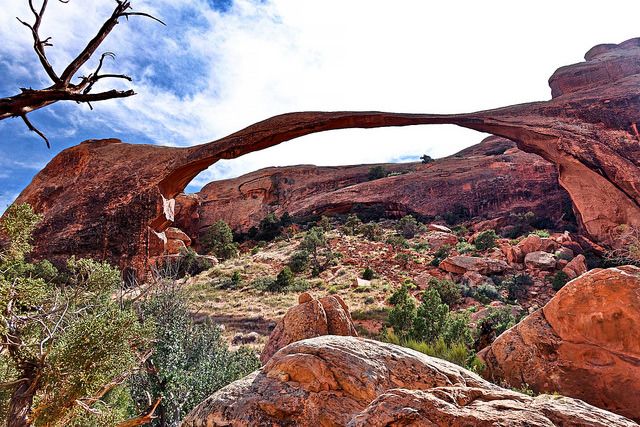 Top 5 Things to See in Arches National Park, Utah