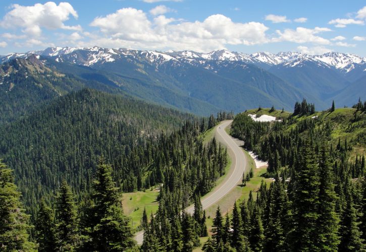 Top 10 Things To Do in Olympic National Park, Washington