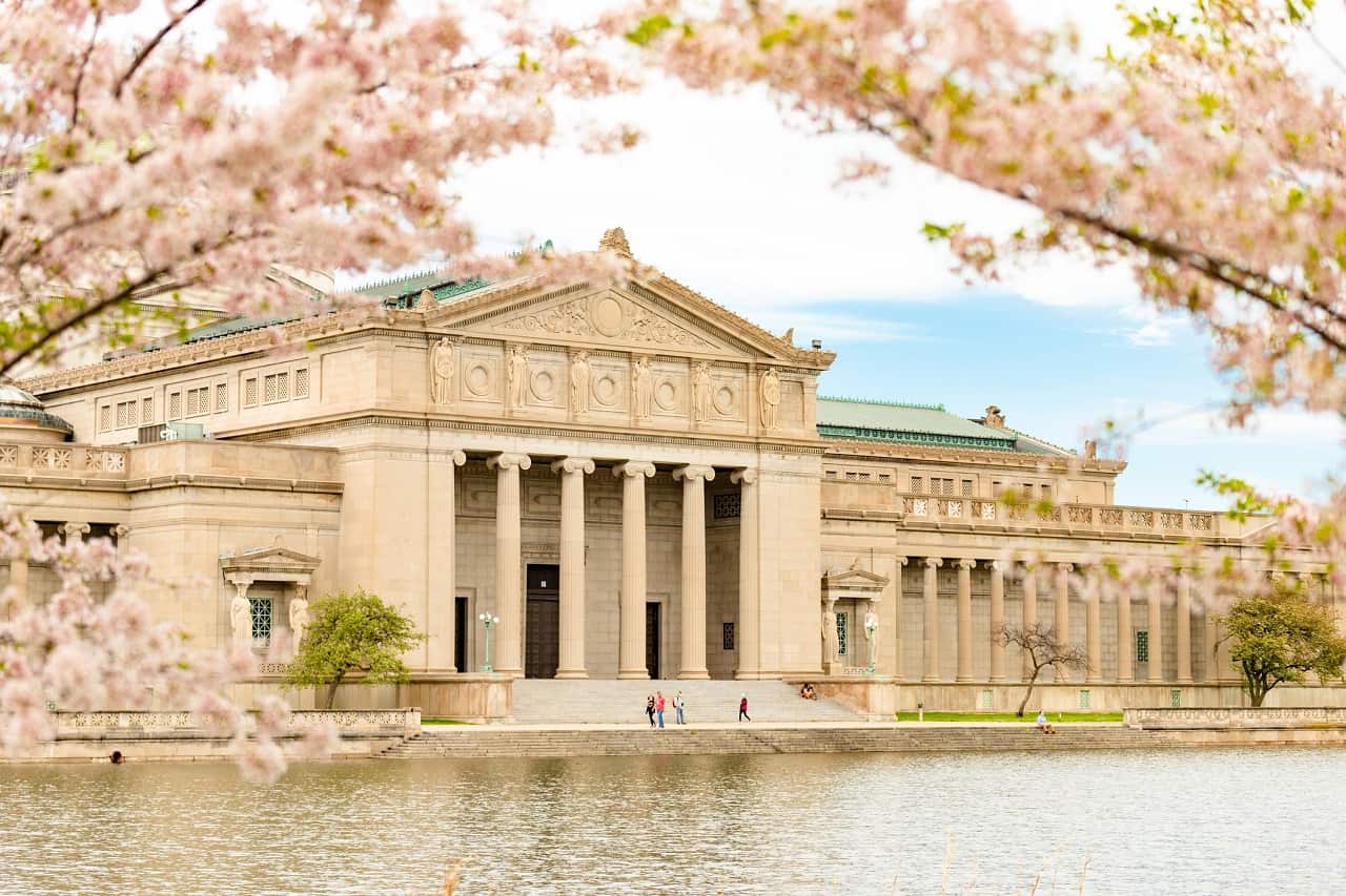 20 Best Museums in Chicago You Must Visit