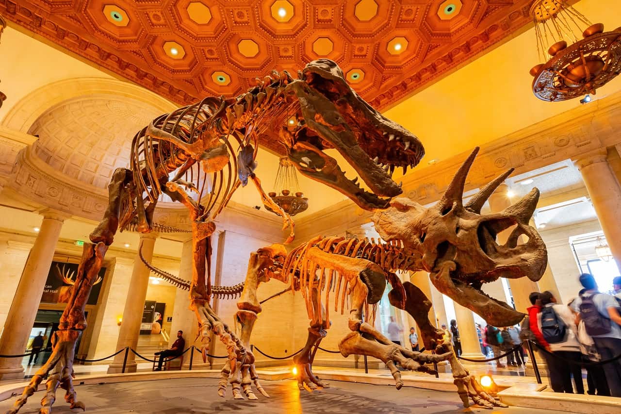 21 Best Dinosaur Museums in the US You Need to See (2024)