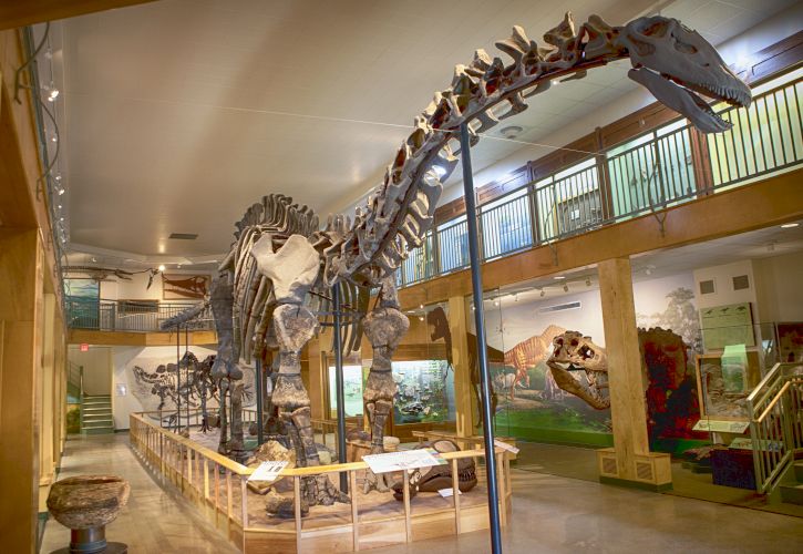 University of Wyoming Geological Museum